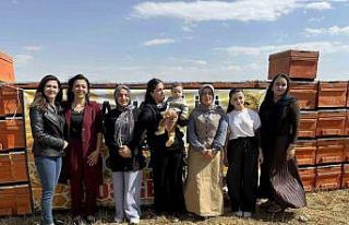 Yüksekova’da arıcılığa kadın eli değiyor:...