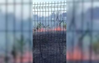 Ziraat meslek lisesinin bahçesi alevlere teslim oldu