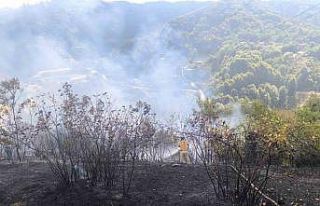 Zonguldak’ta 2 dekarlık alanda örtü yangını