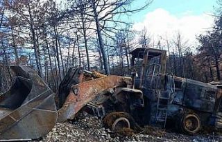 10 kişinin şehit olduğu yangınlarda kül olan...