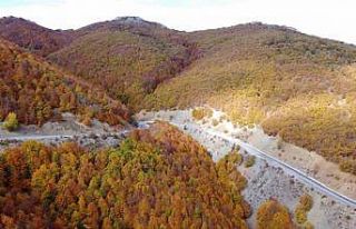 Adeta doğada bir tablo, Şebek Geçidi’nde sonbahar...