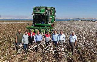 Adıyaman’da 2025 yılı pamuk hasadı başladı