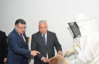 Ağasar Balı markalaşacak