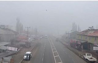 Ağrı’da sis etkili oldu