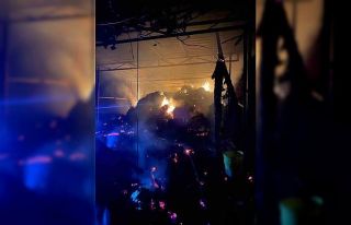 Ahırda yangınında 1 buzağı telef oldu