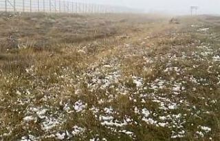 Ardahan’ın yüksek kesimlerinde kar yağışı...