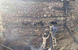 Bahçesaray’da odunluk yangını korkuttu