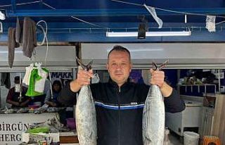 Bandırma Balık Hali’nde sezon hareketliliği başladı