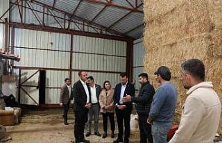 Başkan Dere, şap hastalığından mağdur olan aileleri...