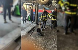 Batman’da otomobilin motoruna giren yılan itfaiyeyle...