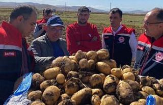 Bayburt’ta patates hasadına başlandı