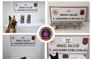 Bingöl’de jandarma ekipleri huzur ve güven için...