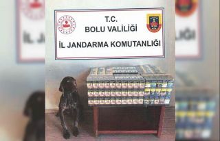 Bolu’da yolcu otobüsünde kaçak sigara ele geçirildi