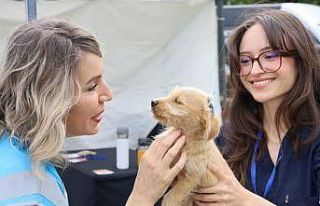 Can dostlar yeni yuvalarına kavuştu