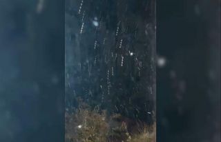 Çankırı’da kar yağışı başladı