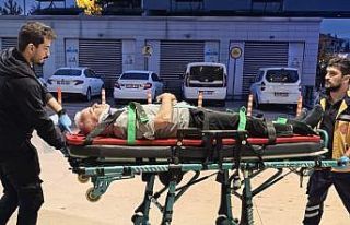 Ceviz ağacından düşen adam ağır yaralandı