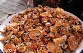 Çıntar pazar tezgahlarında yerini aldı