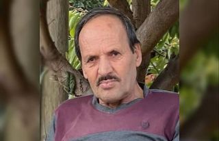 Çıntar toplamak için gittiği ormanda ölü olarak...