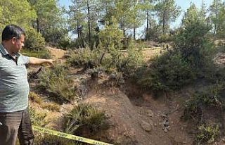 DEAŞ’lıların öldürdüğü Binali Aslan’ın...