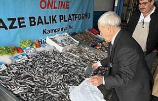 Denizlerde balık bolluğu: Hamsinin fiyatı 89 liraya...