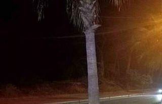 Direğe çarpan motosiklet sürücüsü hastanede...