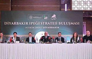 Diyarbakır ipeği masaya yatırıldı