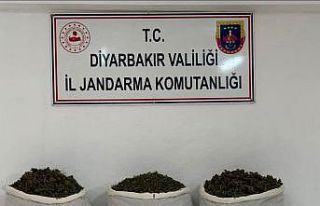 Diyarbakır’da 15 kilo skunk ele geçirildi