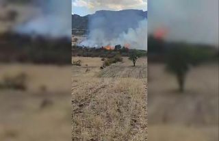 Diyarbakır’da otluk yangını