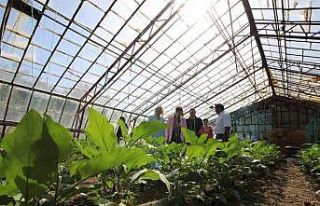 Doyran halkına obezite anlatıldı