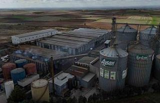 Edirne’de yağ fabrikasında patlama: 1 işçi yaralandı