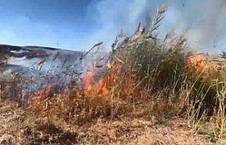 Elazığ’da otluk alanda yangın