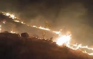 Emirgazi’de mera yangını