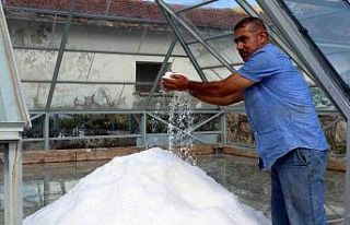 Erzincan’ın dağlarından sofralara