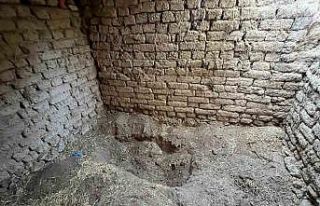 Eskişehir’de 14 yıl sonra ahırdan çıkarılan...