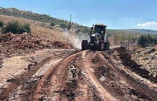 Etkili olan yağmur tarlaları sular altında bıraktı