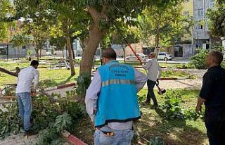 Eyyübiye’deki parklarda bakım ve yenileme çalışması