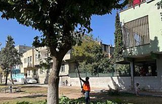 Eyyübiye’deki parklarda sonbahar bakımı