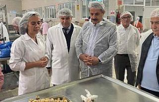 Faruk Çelik’ten Kardelen Kestane Şekeri’ne ziyaret