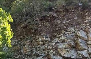 Fethiye’de 43’ü çocuk 65 düzensiz göçmen...