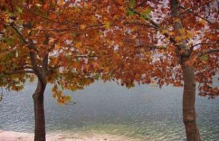 Fırat’ın sessiz akışına sonbahar renk kattı