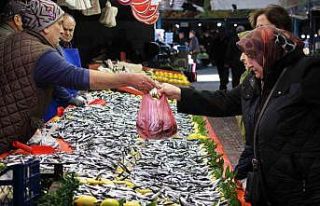 Fiyatı düşen hamsiye talep arttı: "Son 10...