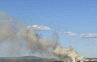 Gebze’de fabrika bahçesinde korkutan yangın