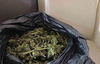 Güvercin kümesinde uyuşturucu ele geçirildi