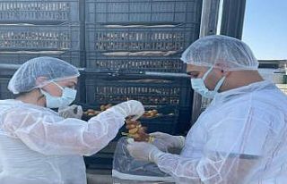 Habur Sınır Kapısında taze hurma ithalatına sıkı...