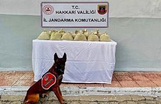 Hakkari’de 15 kilogram esrar ele geçirildi