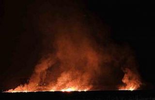 Hakkari’de kuş cenneti Nehil Sazlığı’ndaki...