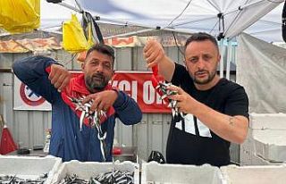 Hamsinin fiyatı 70 liraya indi, tezgahlar şenlendi