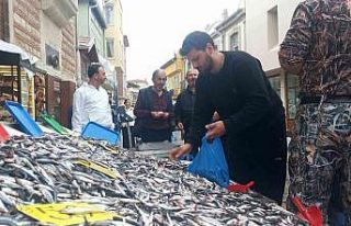 Hamsinin kilosu 50 liraya düştü, vatandaşlar poşet...