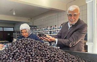 Her 6 sofralık zeytinden birini Bursa ve Balıkesir...