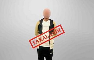 İçişleri Bakanı Yerlikaya: "Kırmızı bültenle...